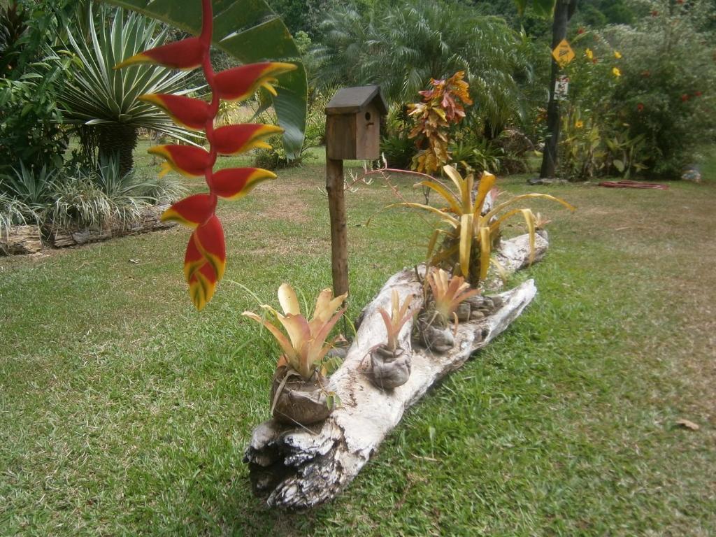 La Palapa Ecolodge Portalón Exterior foto