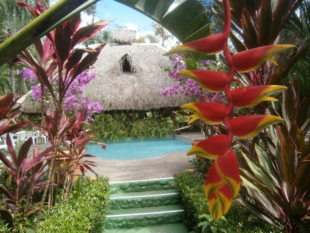 La Palapa Ecolodge Portalón Exterior foto