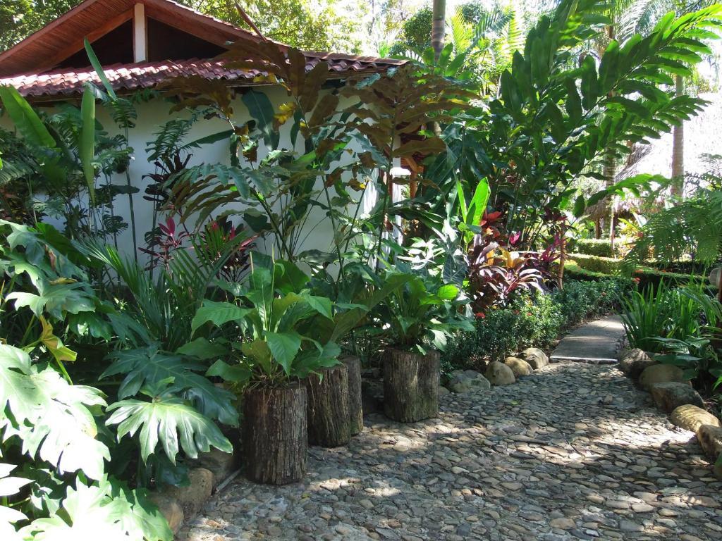 La Palapa Ecolodge Portalón Exterior foto